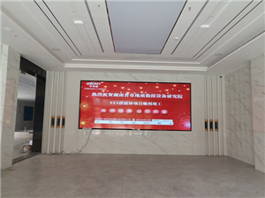湖南普奇地質(zhì)勘探設備研究院拼接屏項目